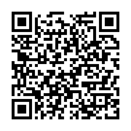 QR code for Type A House of Electronics SL Ltd.